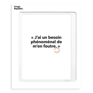 Image Republic Affiches & Tableaux>Affiche Loic Prigent J'Ai Un Besoin - 30 X 40 Cm