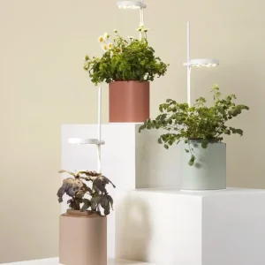 Prêt à pousser Pots & Jardinières>Jardin D'Interieur Connecte Nano Garden - Terracotta
