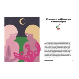 Hachette Livres>Livre Astrologie Signe Gemeaux