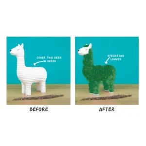 Sélectionné par Fleux Pots & Jardinières>Pot / Jardiniere Chia Lama