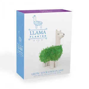 Sélectionné par Fleux Pots & Jardinières>Pot / Jardiniere Chia Lama