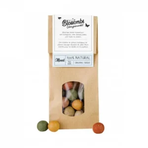 Sélectionné par Fleux Pots & Jardinières>Sachet Kraft 10 Bombes A Graines